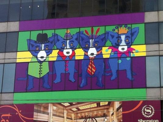 Photo of Kimberly T.