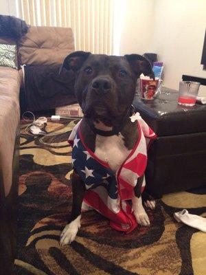 photo of Vsevolod M.