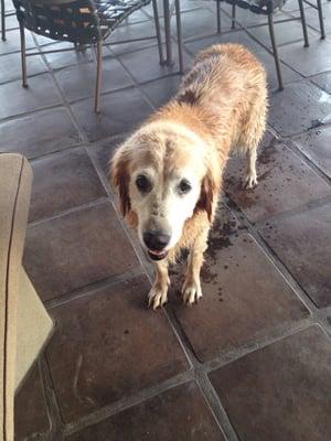 photo of Victoria W.