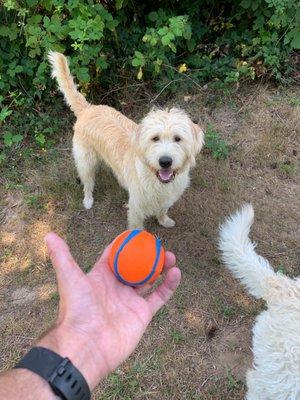 photo of Catherine S.