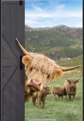 photo of Flapjack D.