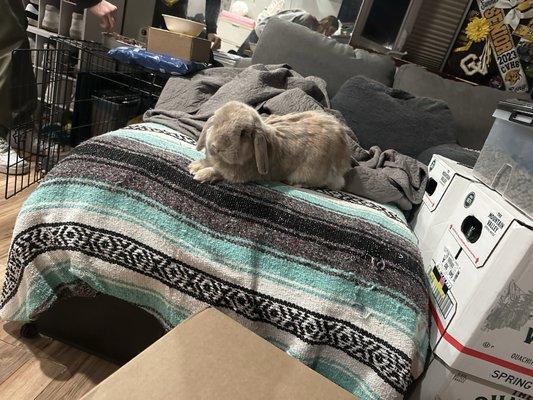 photo of Savannah D.