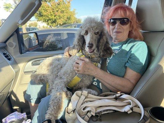 photo of Elisabeth K.