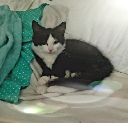 photo of Jennifer T.