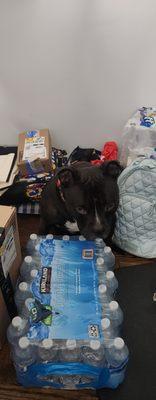 photo of Christina M.