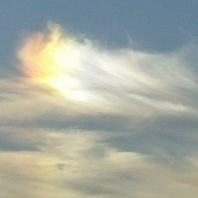 photo of Charrise T.