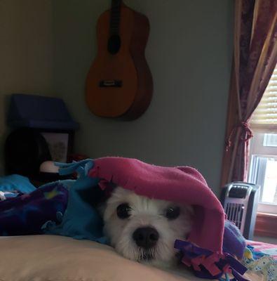 photo of Victoria S.