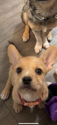 photo of Isabella S.