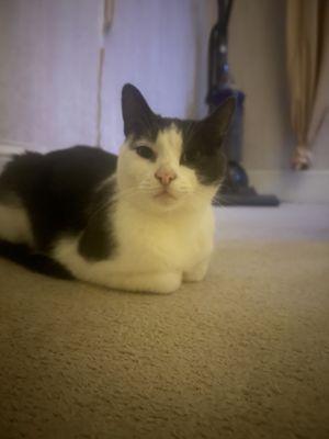Photo of Sylar