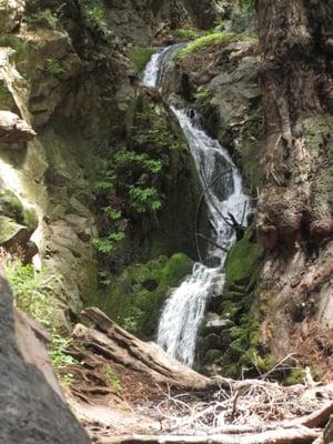 photo of Patricia M.