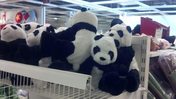 photo of Courtney C.