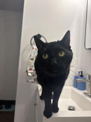 photo of Maddison L.