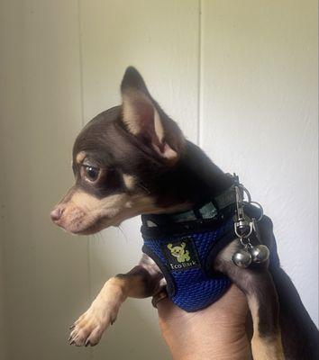 Photo of Darnelle T.