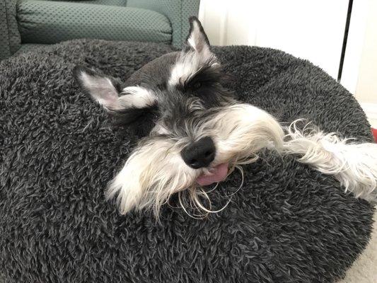 Photo of Alexandra C.