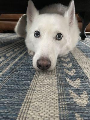 photo of Christine W.