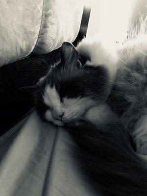 photo of Katherine S.