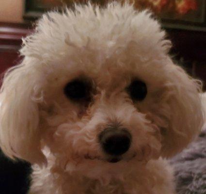 photo of Michelle W.