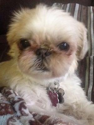 Photo of Penny D.