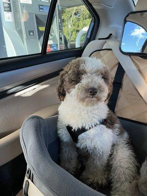 photo of Kimberly G.