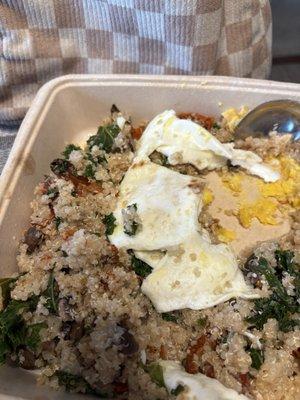 photo of Jennifer N.