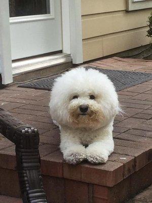 Photo of Michelle N. H.