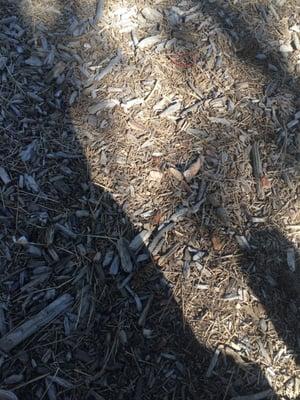 photo of Elizabeth H.