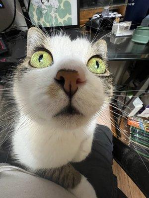 photo of Isabelle V.