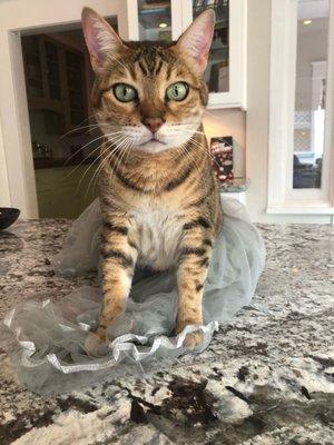 Photo of Alexandra S.