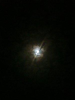 photo of Sherise A.