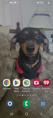 photo of Paul Tyronne P.