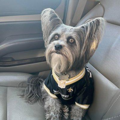 photo of Sheri N Steve L.