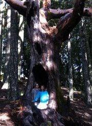 Photo of Elizabeth H.