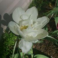 Photo of KT H.