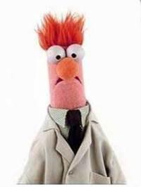 Photo of Stu M.