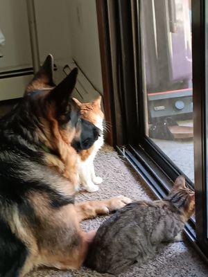 photo of Stephanie S.