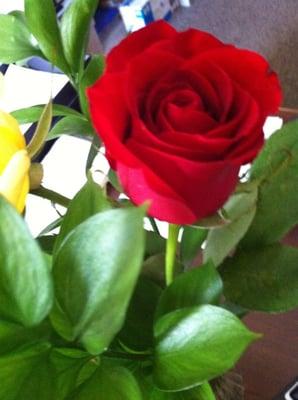 photo of M Correia A.