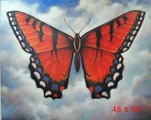 photo of Francesca R.