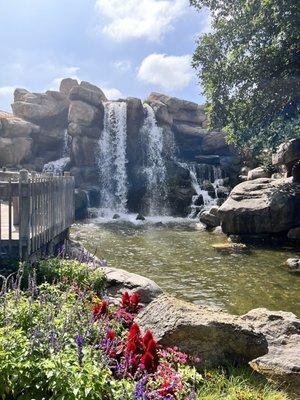 photo of Priscilla P.