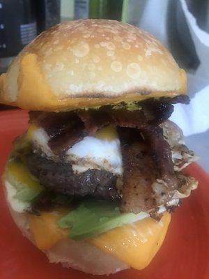 photo of Biscuits M.