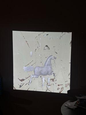 photo of Michelle D.