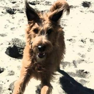 photo of Julianne W.