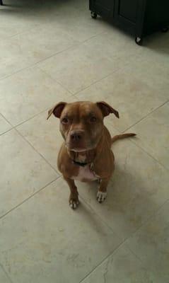 photo of Michelle U.