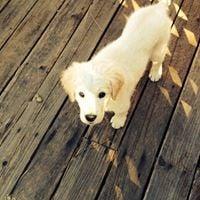 Photo of Kathleen B.