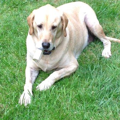 Photo of Maui Steve L.