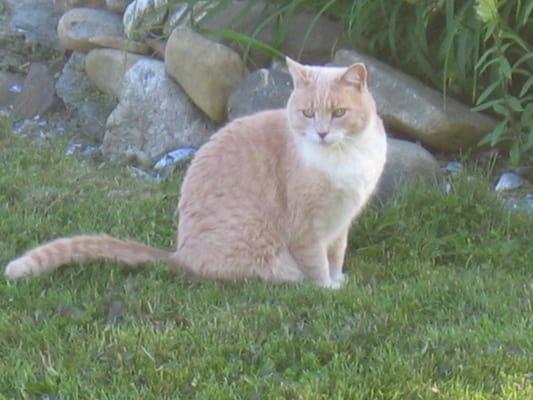 Photo of Little B.