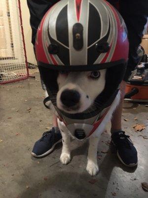 photo of Michelle N.