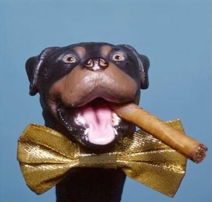 Photo of Rott G.