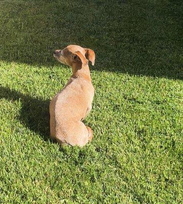 photo of Angelina S.