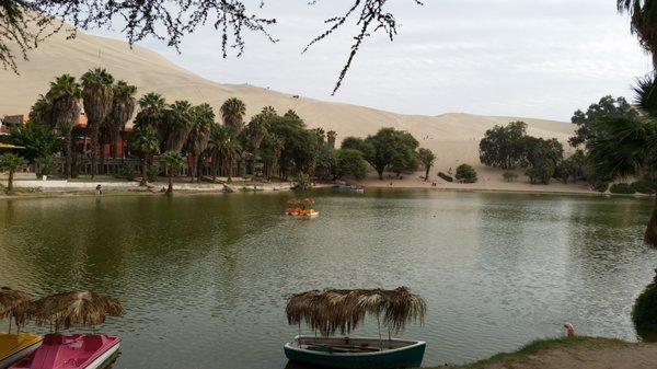 photo of Alejandra S.