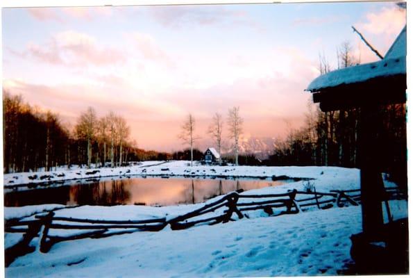 photo of Penelope W.